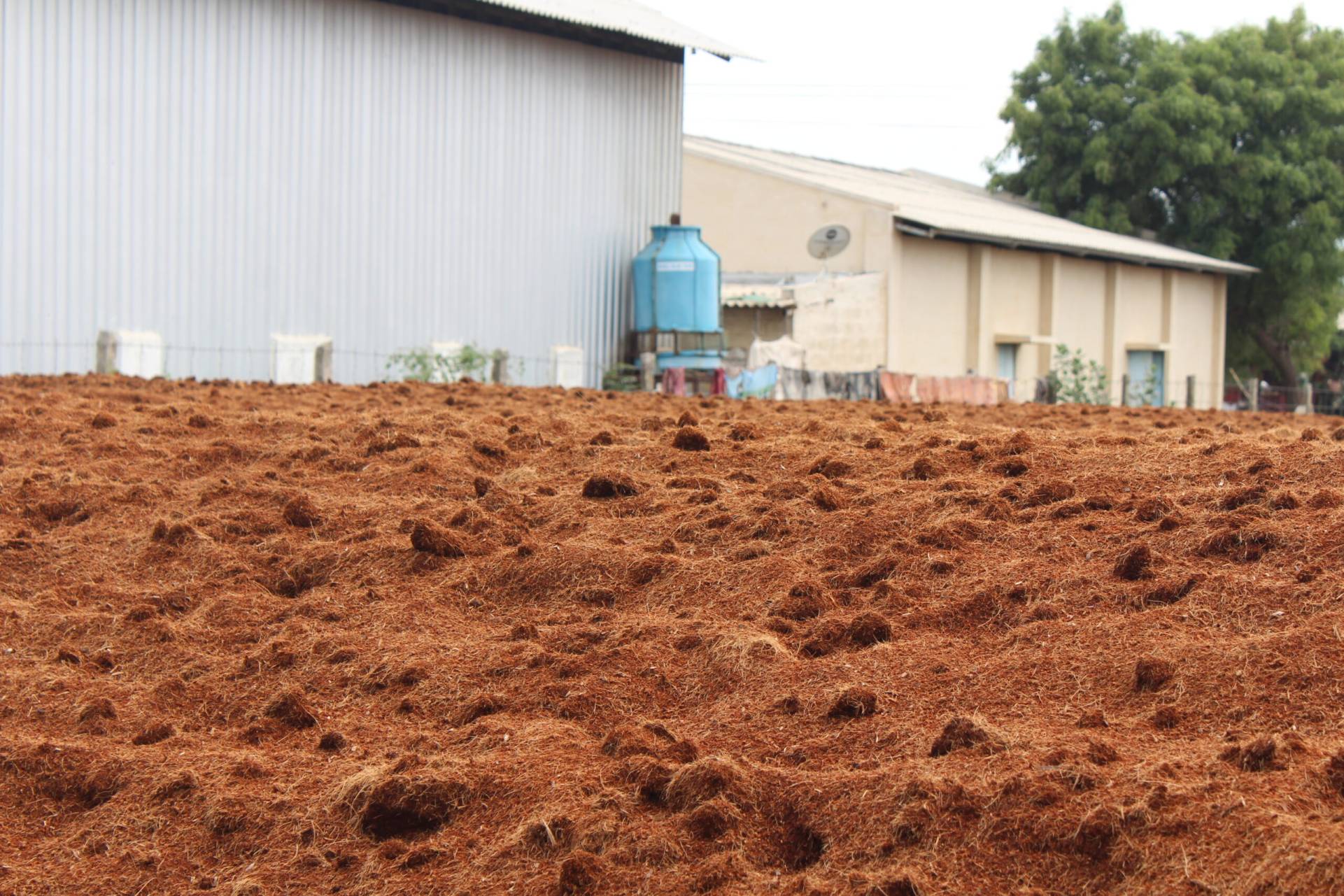 PRX Exim coco peat coir pith perlite vermiculite hydroponicss